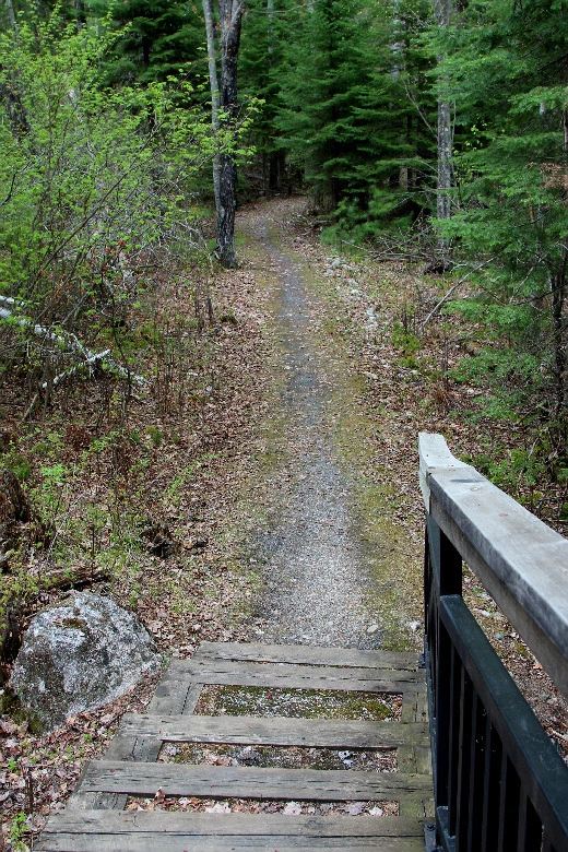 9973F13E5DCEEE9503C47D