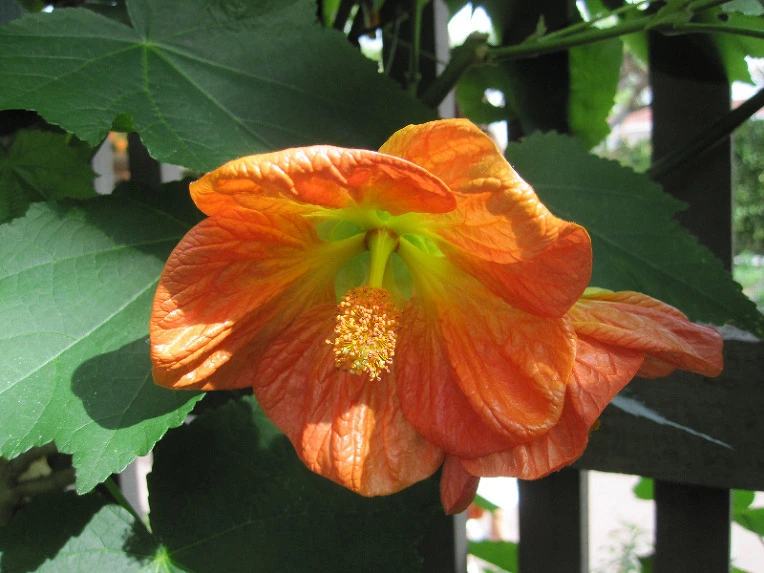 edfbfd0fcf6dc7fcd4ad49633b18c62eb7ed72ae