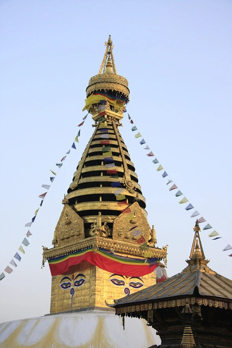 e0e8a24fd1d6cb41566633b2886cfaf14d4d0138