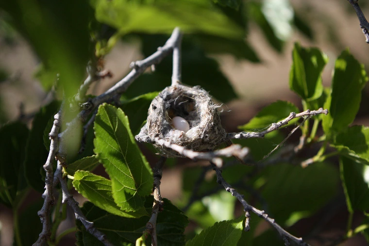 e1e212d2b519a049a6f0da8984c6061f78e8ce55