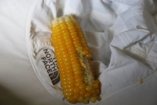 01074c270ec985d46ebf9b27e21f38689c54a7bf