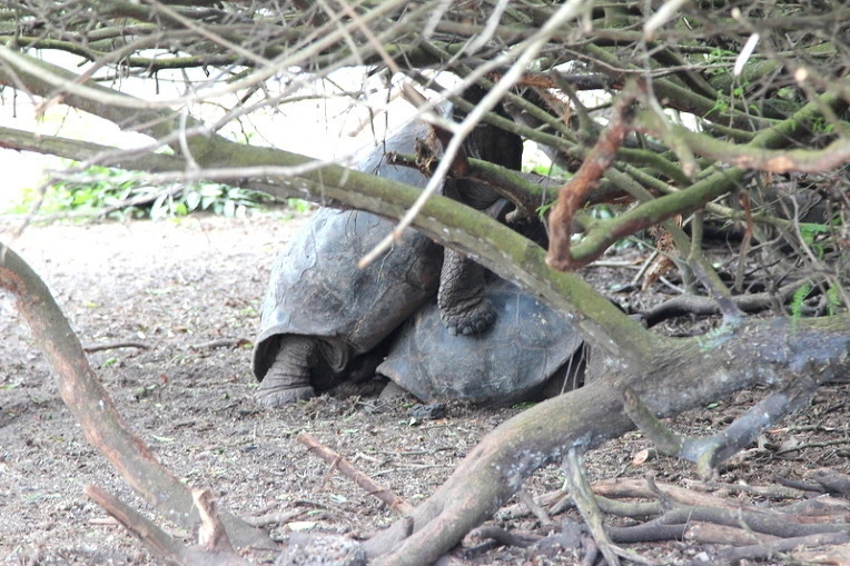 f6ee788cc2fc419016dd2d50d73a8ada98062a5a