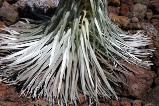 f57620fb07aa2de6d33608b5b1e30bba95f86a24