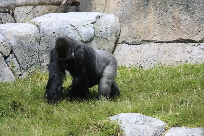 057f5e5845f9deca65eb265043825dea4852a50b