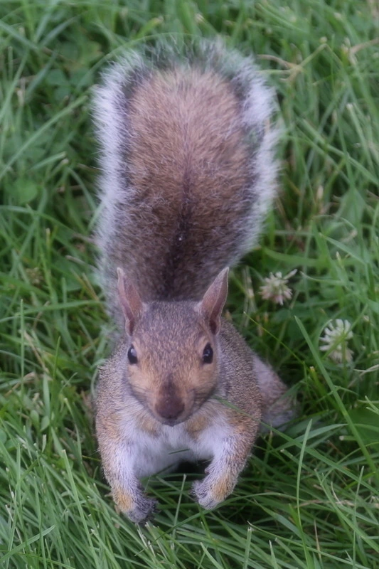 a62c65fe893bf3694fa5f600eef0de8e277e8dc3