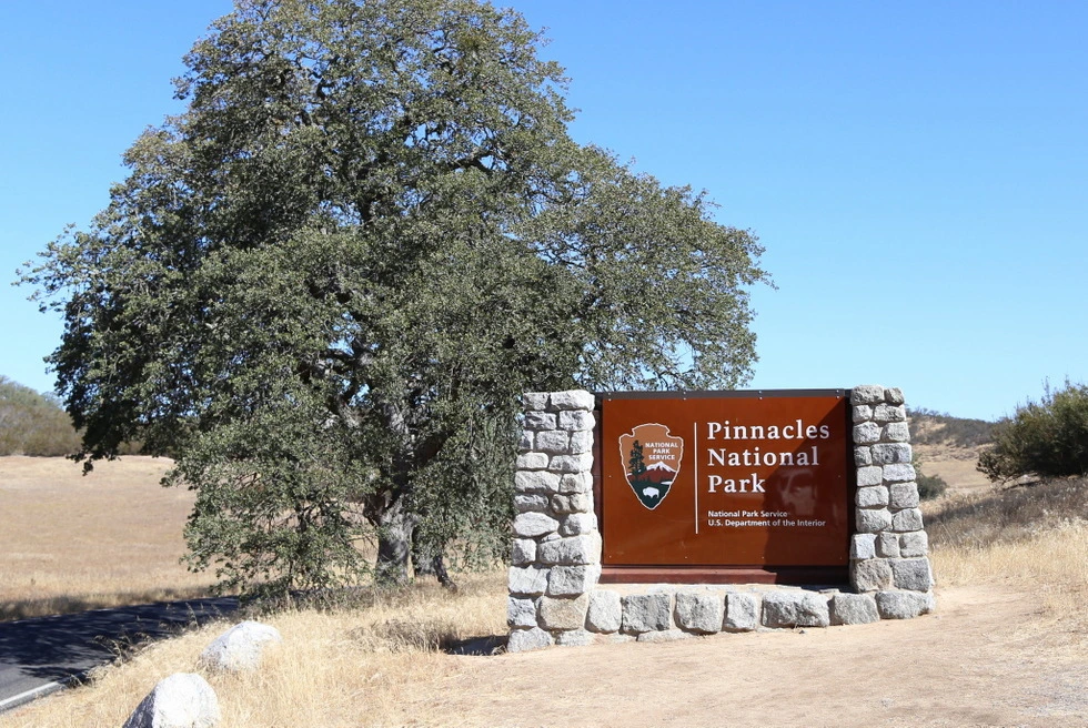 991EAE395DD1C03C152FB8