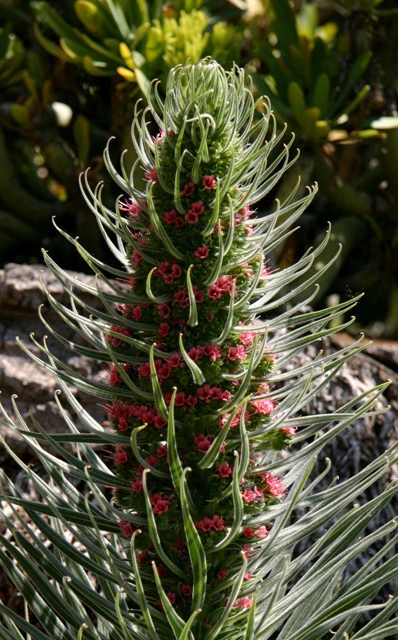 b03c287a35f434efad4084c6c3dfc0097e34c8cb