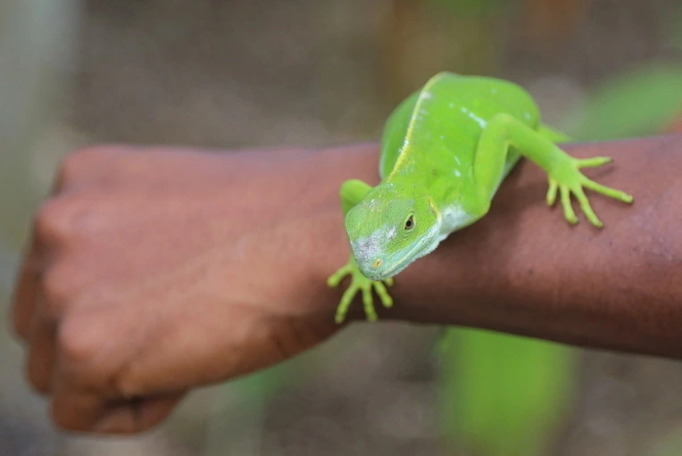 00ac1a3b5d5ac721fc7a892e6e891940a97327d6