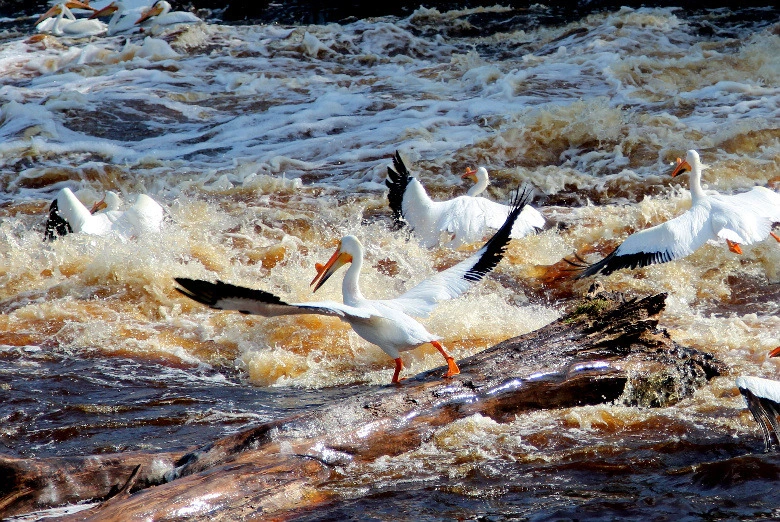 999917415DCEEFEE0435D3