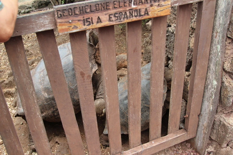 88bff9819b13f78ee378b04aa0b671de5a3c6efc