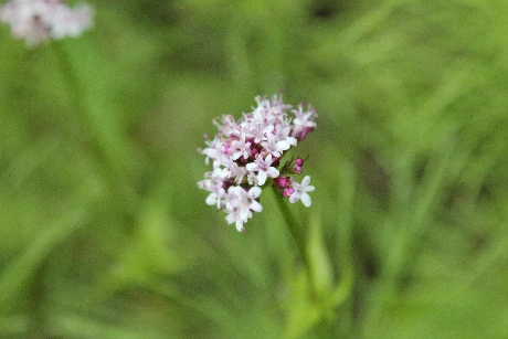 8c782c34cf1f287c57d451be9c6fbfb8c8a59a38