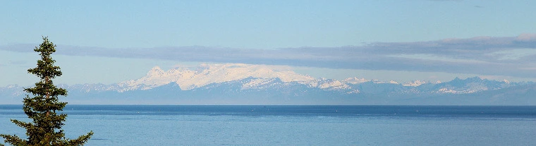 8df76bda73b957a38ad8c7e2365028cc43f479f6