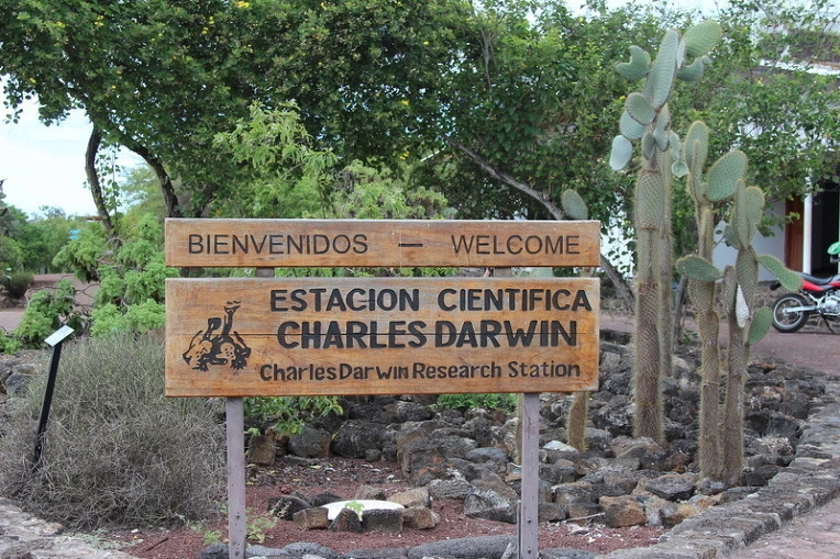 21a231fc374cdce7de0e10b52eace2a7f42eaec1