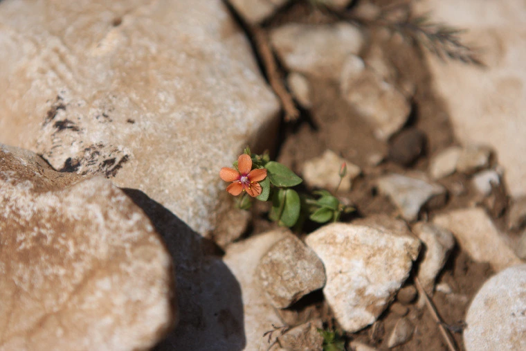 c211e332ef802a7aac5b13f4a8c1c80248f32197