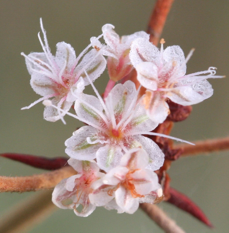 ff29649028a53f4adef0973edb013994e1a27eca