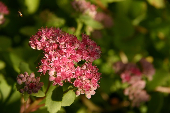 b6f3f408dbb84ebf994918dbc4941cc9ce857381