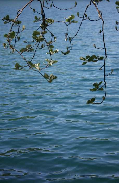 f43482ed7b7ebc766984d4e79341ca455587b5a0