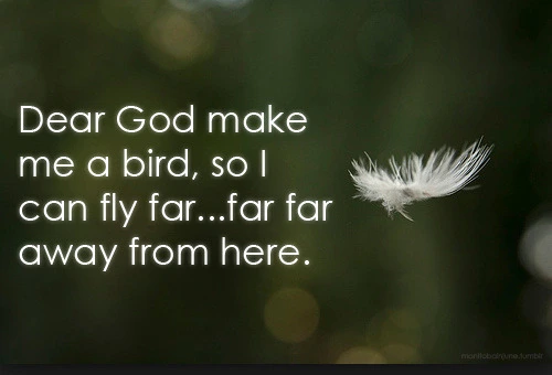 c8b599b2577dbecc7249e9363d8117a17b914034