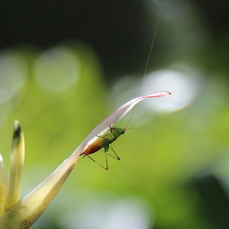 58d1ea1d4fffebf1088c18c8dc80e4e3d0e71f24