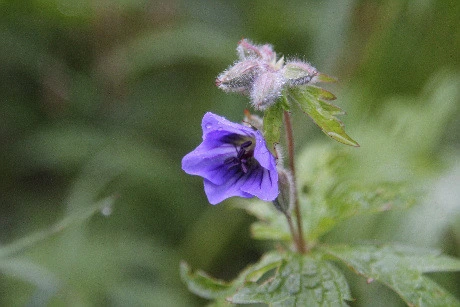 760de9becaae8b1ec7ec6593f16c1e57fa027942