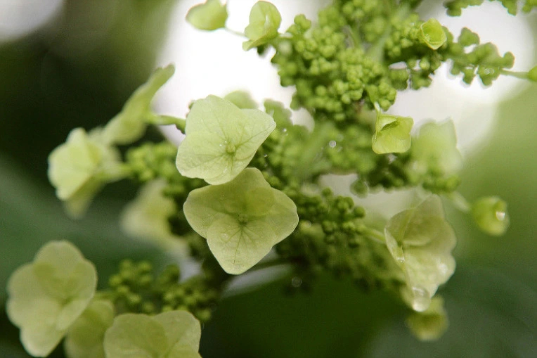 c8eb2e481e3aa93f678ba1566f51bc349bb8eac9