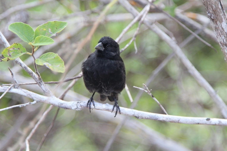 db80795a06b1b3c542fcc0070cace5b1c36b031c