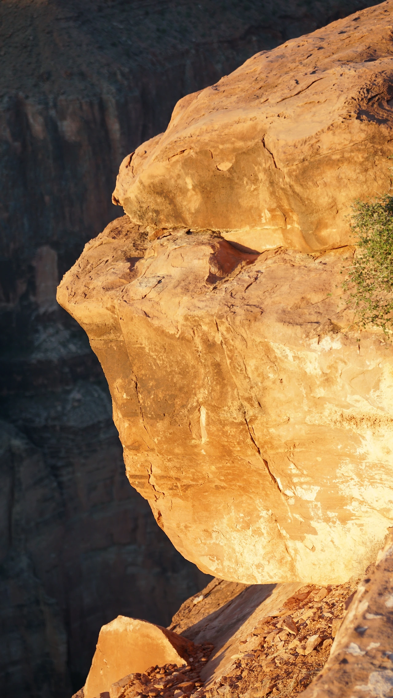 d853ddc0af0a08d4d3ca6bb3645a51ab12846b32