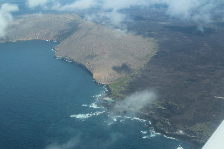 3c114823de797ea7fdc72deeafd8a476330d8877