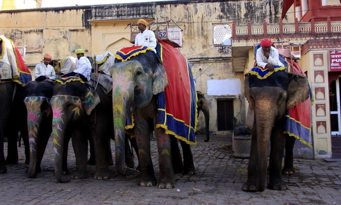 1f715a2961d61c2711696733acf0e3afe431bca6