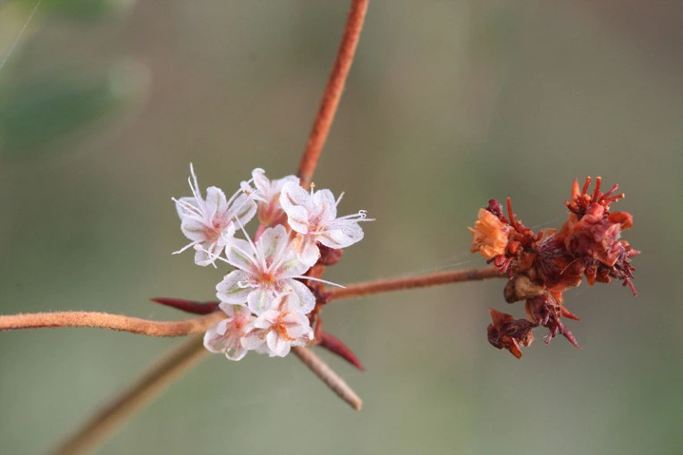 25c29bc57184bc1b0997991f6ad08c35b80aee5d