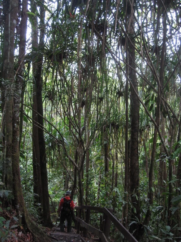 20b1a27635b57ce0cecda1e84712990e9060b2ef