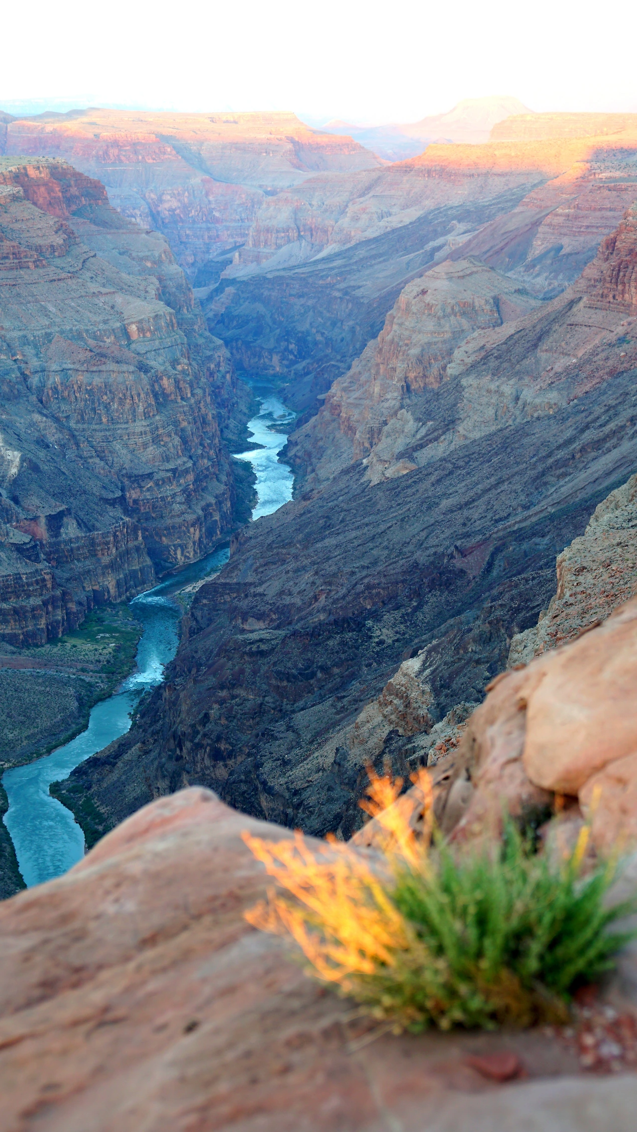 60230c092a18064cf2edeb2cac314611b90e906d