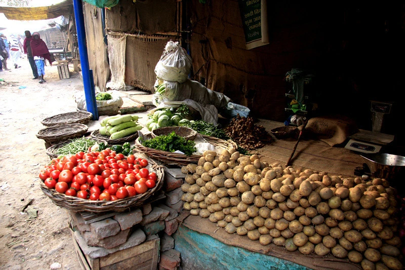 2a53c76ba5a30ce3d010ac445f196656ed0defd0