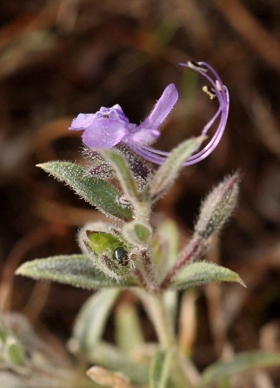 2ff419fe98a71e0e59b2dd12f9a21e8f708b423f