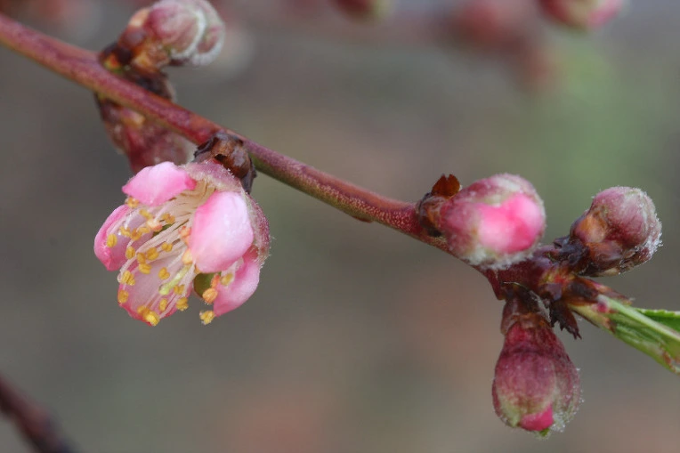 ab2f9d86f50d5eda55e5f6f3be05e2ef1bea1795