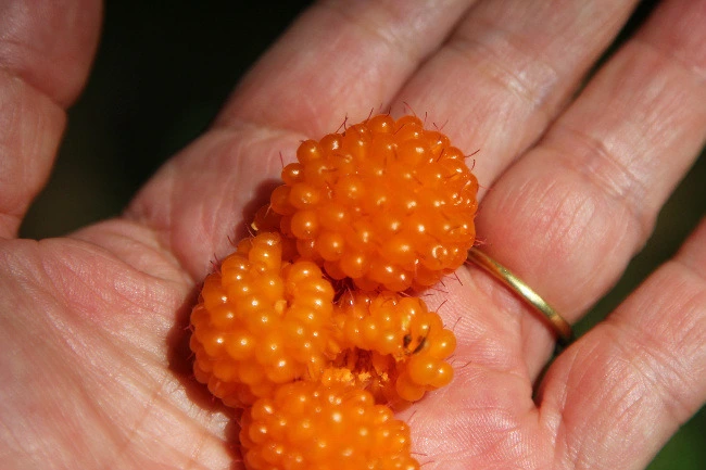 5d56fe6d7229e9efa5a9904da0eacc62aacf8577