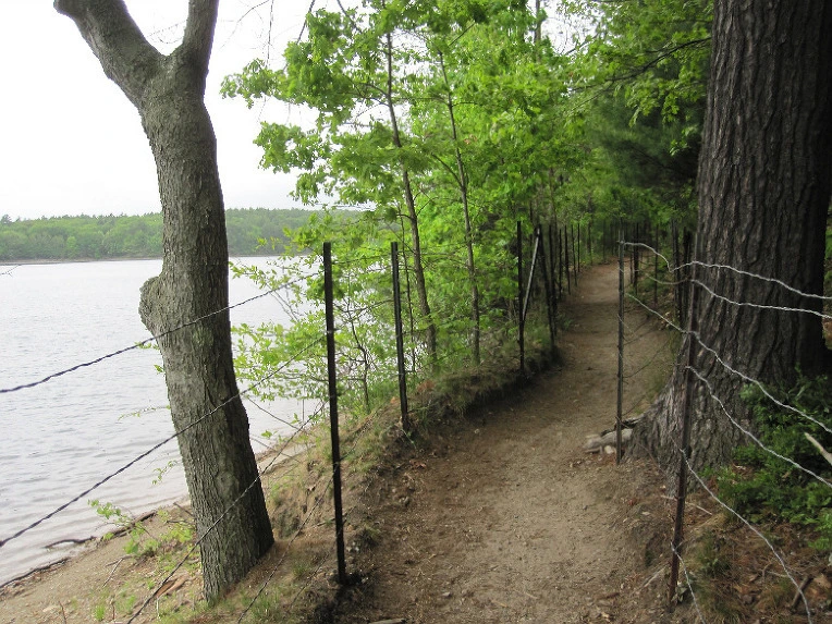 361a136aa1e50696ba6456f07aa3120f5f93d386