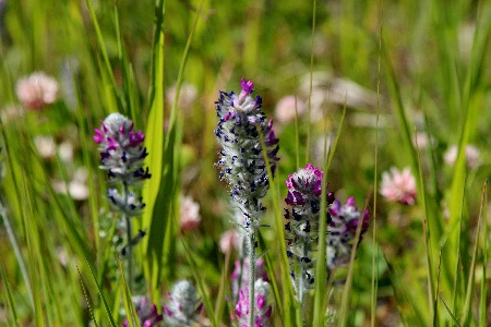 551aa7aebea29d93c2456b6a42f3aced5a29d535