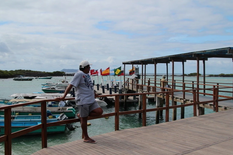 420db63c66e2bf3e0d8445cb51226504e4552acb