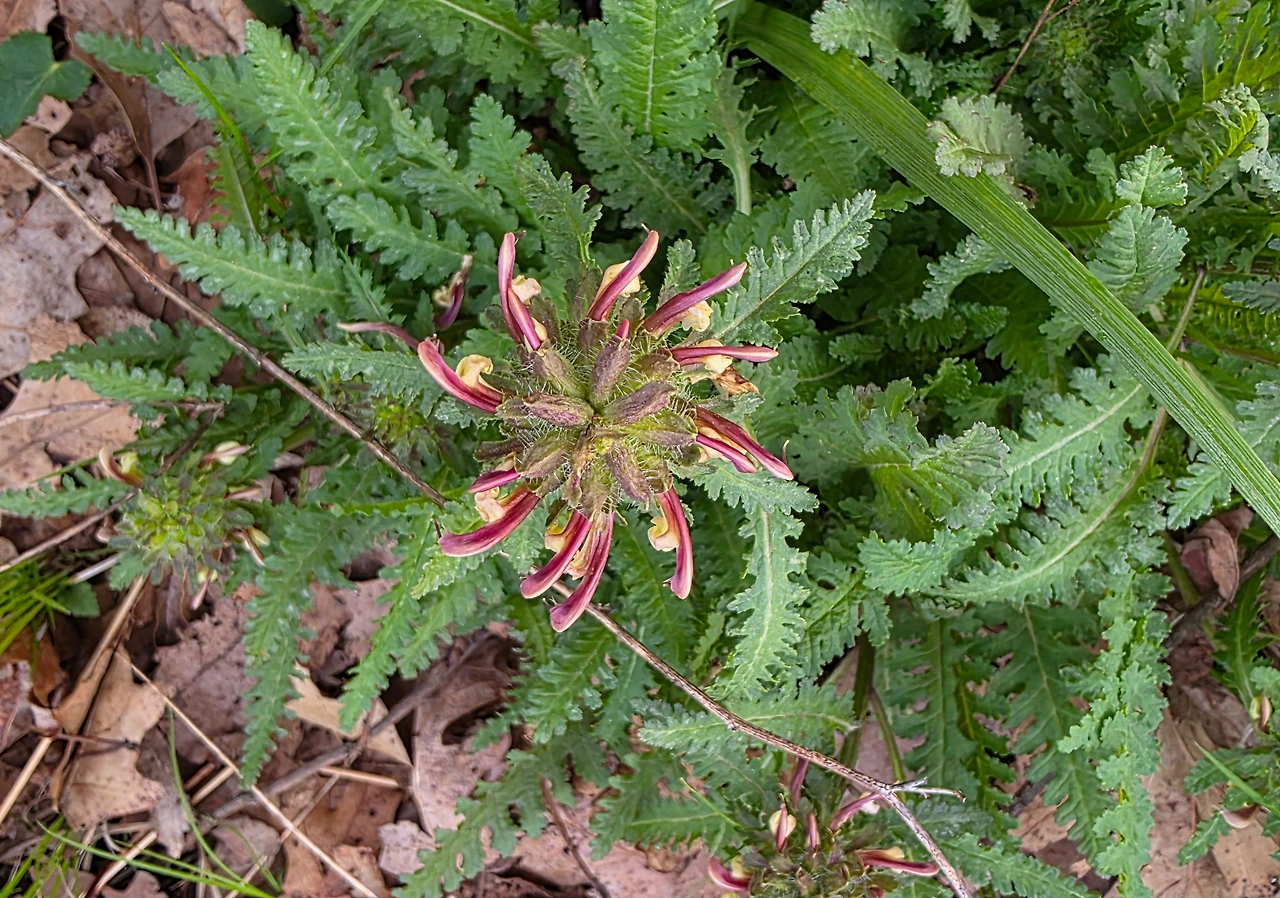 45a70c03dda680574adf4348a2c1c2409cee5dfa