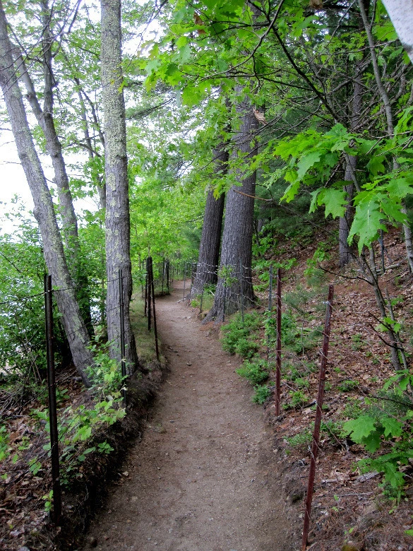 3c64125ed7cfc2f52cc648e5d36402bbc9d04b03