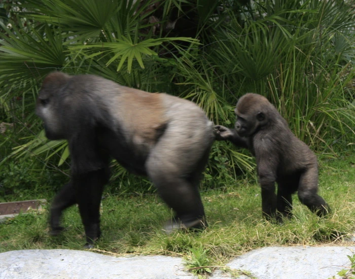 b4b84c3998a74443a9a41a7e4d3dfd266215f2e8