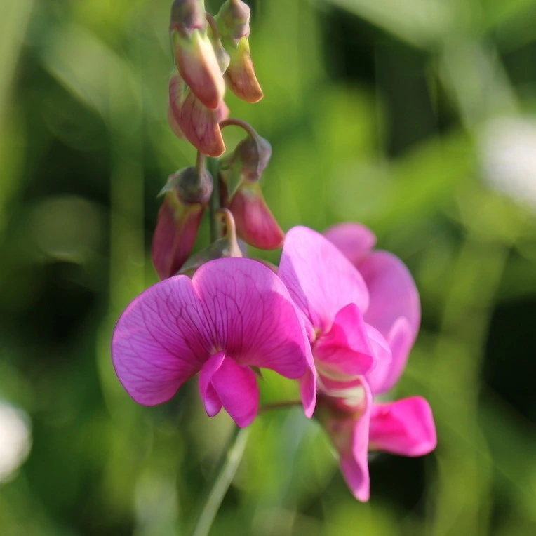 54d708b1480f08a01877ab9f7506f39f84d85948