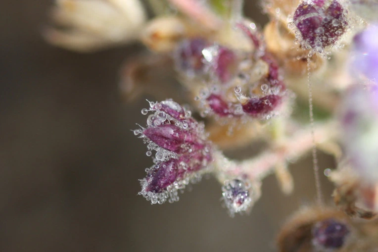 a2d2d6a2c188fe5a86d9842f0ff56efe3d1dbcb2