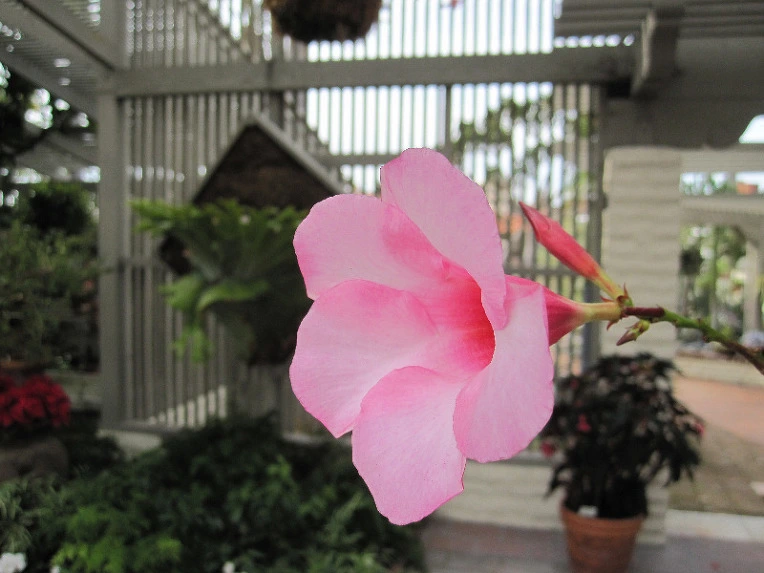 5ab493caa954df82051628defead1b338e8e7d1a