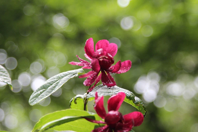 593e745500300cfcac8fb288b989cab1f7ad8961