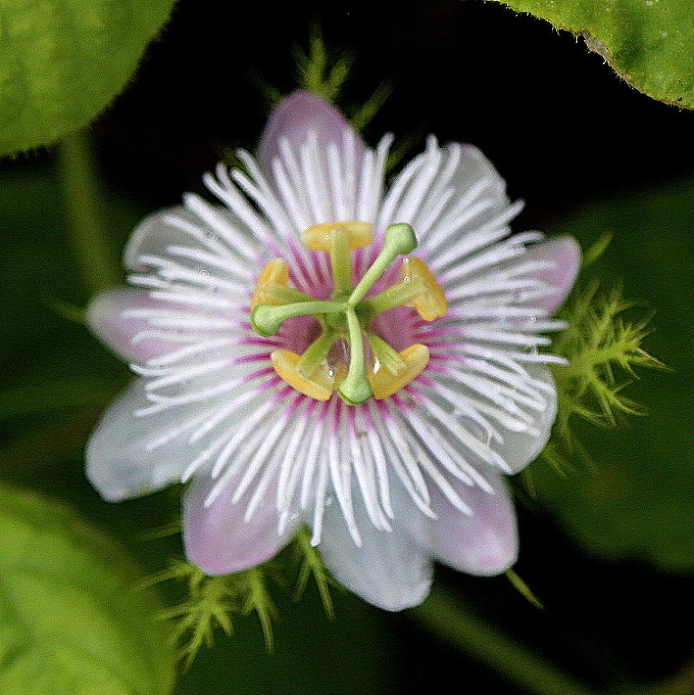 61b599c7a5096b926312fd9fa920d5835a3e1613