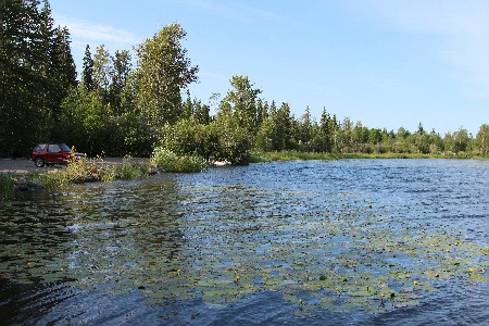 d0a500240b5bfd8f34b06ed57d7ee8444711db7a