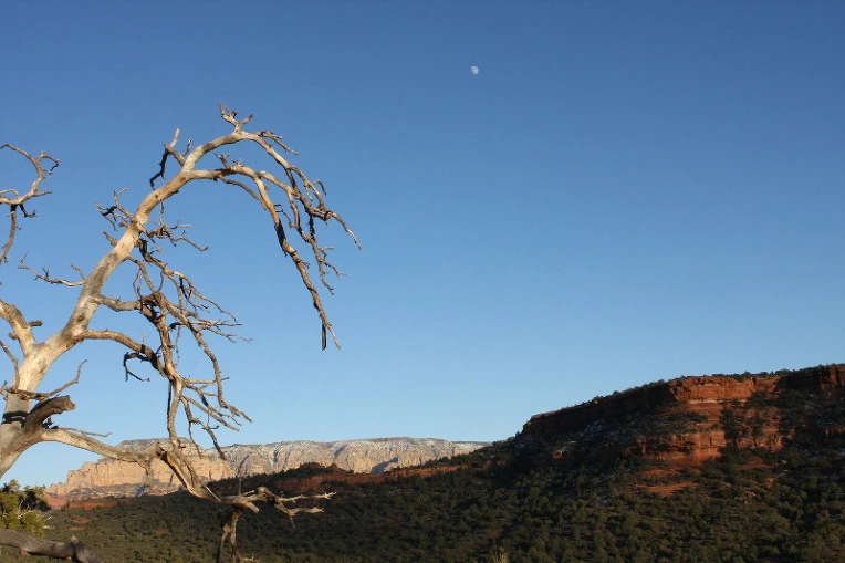 d2dd966377a0d90c013103d07d9eb37ef93d2fea