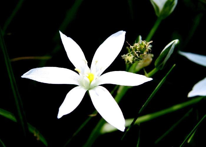 8c40f1d17591c31d7b9c41ad3ee133abdbc77b70